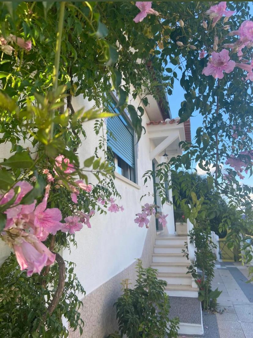 Casa De Azzancha Guest House Azinhaga Exterior photo